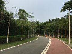 -凤岗南门山森林公园