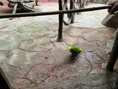 -长鹿旅游休博园