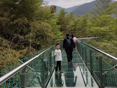 -陶祖圣境风景区