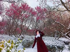 -应天大明王朝·南京菜(中山陵店)