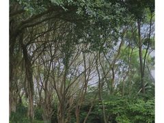 -五通灯塔公园