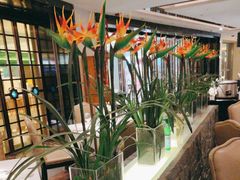 -俏江南(东方广场店)