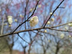 -湖南嵩云山国家森林公园