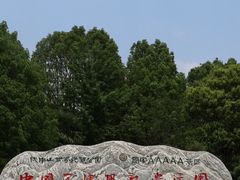 -中国西峡恐龙遗迹园