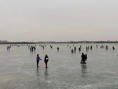 -丁香湖公园
