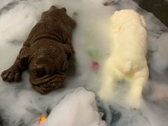 -听说碳烧蛙(高新万达店)
