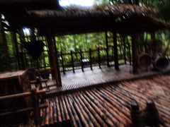 -望江楼公园
