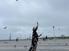 -东港音乐喷泉广场