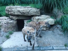 -北京野生动物园