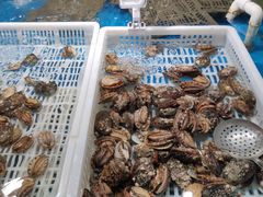 -盒马鲜生(馥邦国际店)