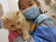 -唐小姐の私宠·宠物洗护美容·撸猫馆·购宠(周浦万达旗舰店)