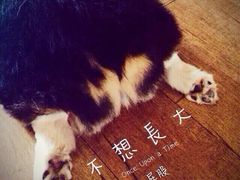 -M-3 PUB(创智天地店)