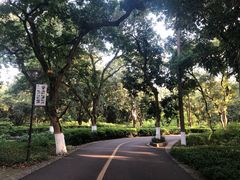 -张坝桂圆林公园