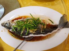 -金豪沙姜鸡饭店(昌平路店)