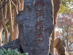 -普陀山风景名胜区-法雨禅寺