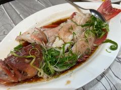 -東海薈。拉斐特(青衣城店)