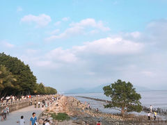 -深圳湾公园(南山区)