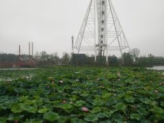 -祥源·阜阳生态乐园