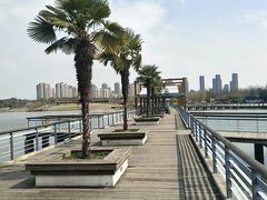 -白塘生态植物园