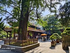 -普陀山风景名胜区-法雨禅寺