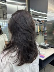 -Hair Code芭曲发型