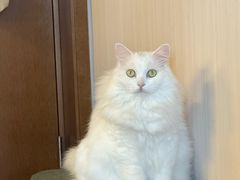 -comecome来吧宠物(奥克斯中心店)