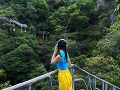 -龙湾潭国家森林公园