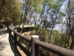 -少华山国家森林公园