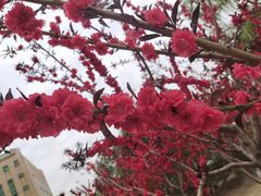 -南礼士路(地铁站)