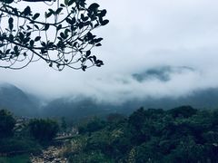 -汕尾莲花山温泉度假村