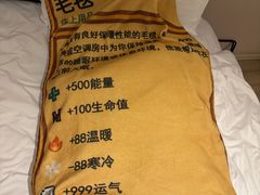 -如家酒店·neo(成都春熙路新南门地铁站店)