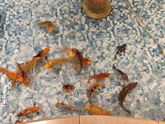 -漳州宾馆威尼斯西餐厅(胜利西路店)