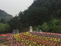 -云峰山自然风景区