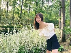 -合肥滨湖国家森林公园