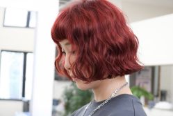 -蚂蚁造型俱乐部