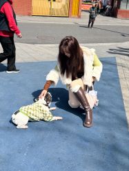 -镁连社·美联社