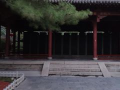 -碑林公园