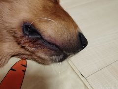 -北京佳信宠物医院