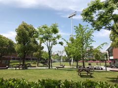 -上海德威外籍人员子女学校(浦东校区)