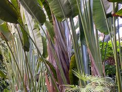 -龙达温泉生态城