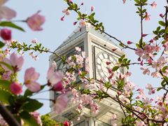 -中南财经政法大学(首义校区)