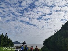 -紫竹林