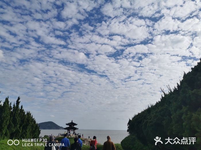 紫竹林图片
