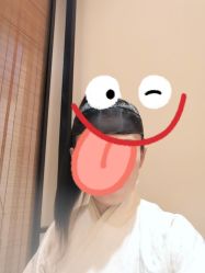 -盘子女人坊古装写真摄影(天津总店)