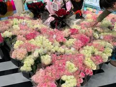 -盒马X会员店(上海森兰商都店)
