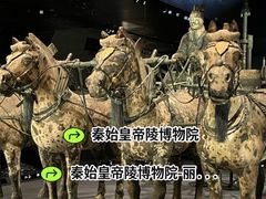 -秦始皇帝陵博物院-丽山园
