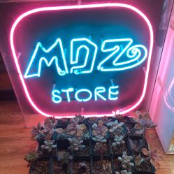 -MDZ STORE·TATTOO·耳饰