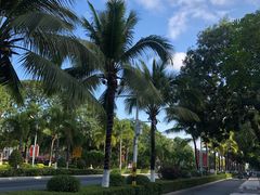 -129老爸茶丨清补凉