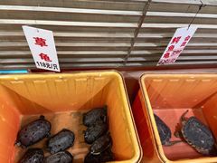 -荔城生鲜盛宴(番禺旗舰店)