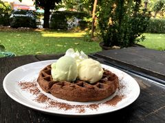 双球冰淇淋配华夫饼-莓园冰淇淋店